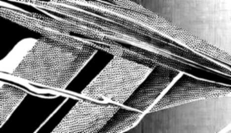 Hyperion's Solvency: A Structural Audit of a zk-Rollup's Empty Promise