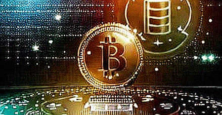 SHIB's Six-Month Burn Rate High: A Signal the Market Refuses to Hear