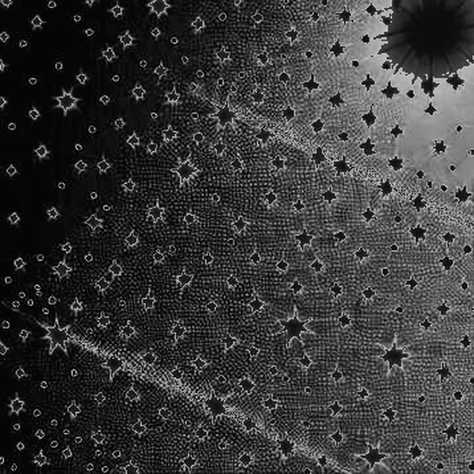 The Clarity Paradox: How America's Partisan Stalemate Over the CLARITY Act Is Redefining Crypto's Frontier