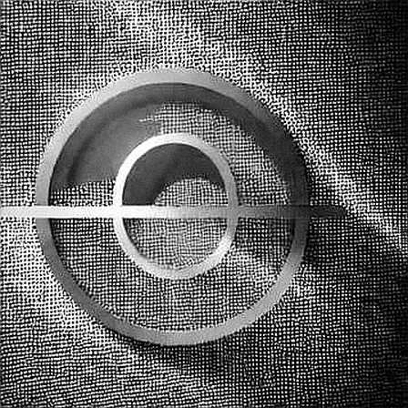 The Zero-Data Leak: When Whispers Speak Louder Than Tickers The Zero-Data Leak: When Whispers Speak Louder Than Tickers