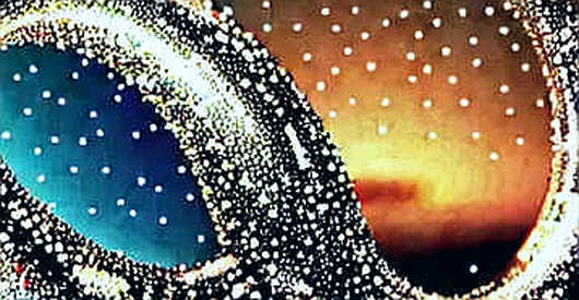 The Whale That Refuses to Fold: A Lesson in Solvency, Not Sentiment
