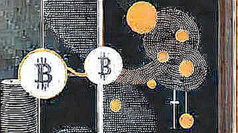 Nineteen Percent and a Missing Ledger: What Steak 'n Shake's Bitcoin Numbers Actually Prove
