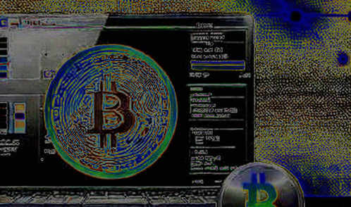 The Musk Signal: A Battle Trader's Audit of the Bitcoin Endorsement Without a Timestamp