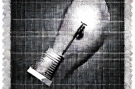 The Signal in the Static: When Bitcoin, Ethereum, and Solana Bleed in Unison The Signal in the Static: When Bitcoin, Ethereum, and Solana Bleed in Unison