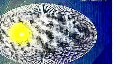 ARK Bought Circle and Coinbase — But This Is Not a Crypto Signal ARK Bought Circle and Coinbase — But This Is Not a Crypto Signal